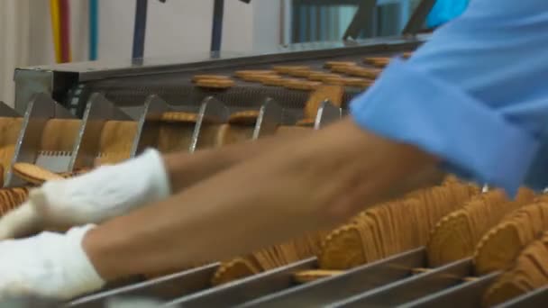 Werknemer op de transportband sorteert de cookies. — Stockvideo