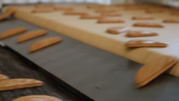 Nybakade shortbread cookies lämna ugnen. — Stockvideo