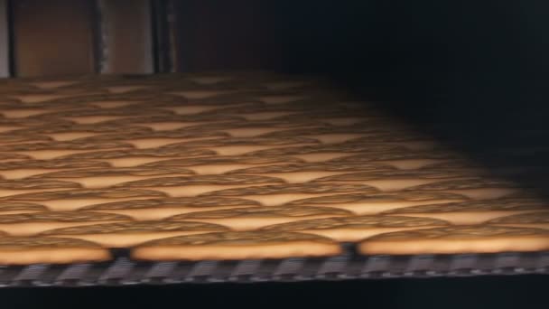 Cookie gräddas i ugnen. Närbild. — Stockvideo