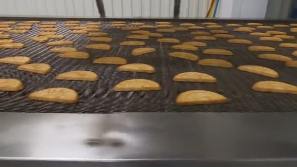 Transportador com cookies . — Vídeo de Stock