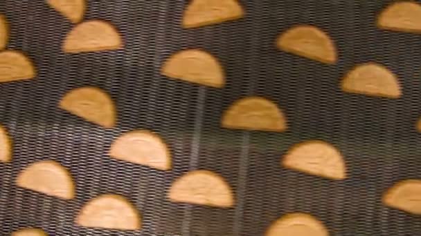 Conveyor with cookies. — Stock Video