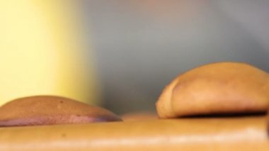 Taze bisküvi fabrikasında yapılan