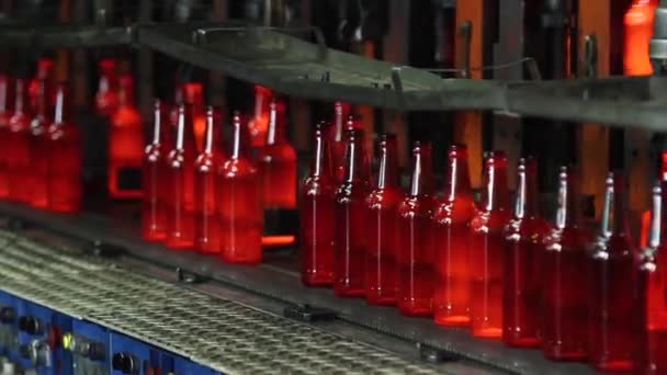 Producción de botellas de vidrio para cerveza. Planta de vidrio . — Vídeos de Stock