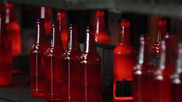 Fábrica para la producción de botellas, planta de vidrio — Vídeo de stock