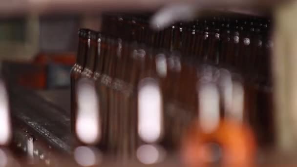 Production of glass bottles for beer. Glass plant. — Stock Video