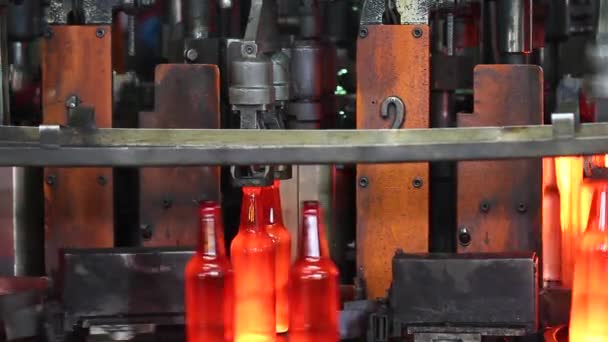 Productie van glazen flessen voor bier. Glas plant. — Stockvideo