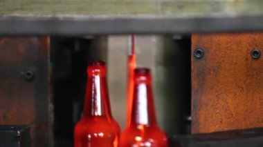 Cam şişe bira için üretim. Cam fabrikası.