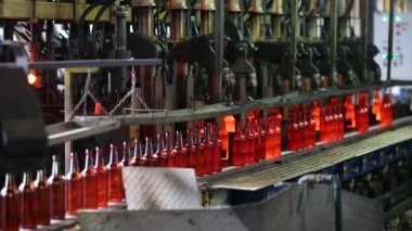 Şişeler, cam bitki üretimi için fabrika