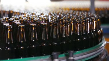 Bira kahverengi şişe Konveyör bant hareket