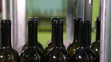 Şarap şişeleri bir Konveyör bant hareket