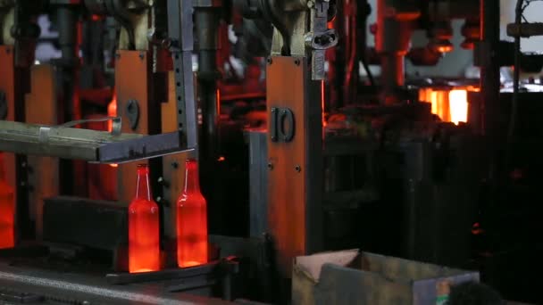 Production of glass bottles for beer. — Stock Video