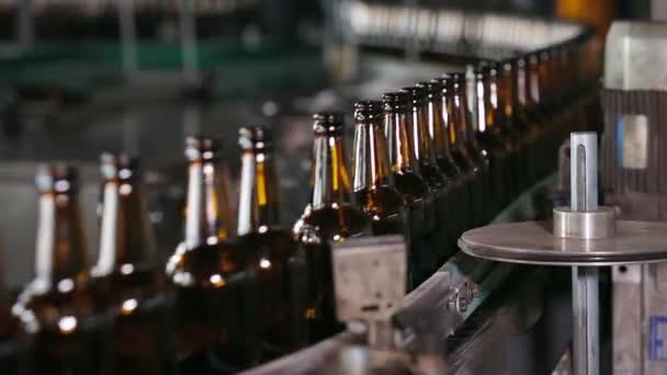 Garrafas de vidro de cerveja vazias na correia transportadora . — Vídeo de Stock
