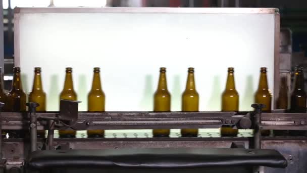 По конвейеру движутся чистые бутылки . — стоковое видео