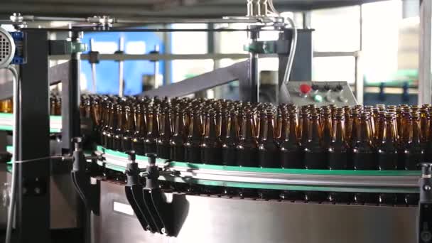 Garrafas castanhas de cerveja se movem ao longo da correia transportadora — Vídeo de Stock