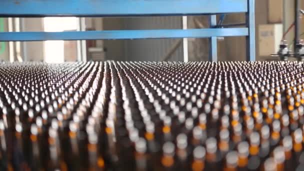 Clean bottles are moving along the conveyor. — Stock Video