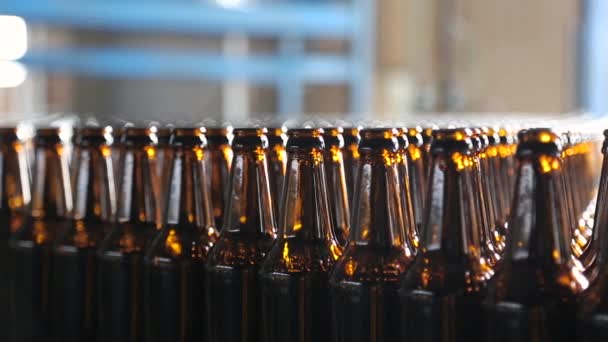 Bottiglie di vetro di birra vuote sul nastro trasportatore . — Video Stock