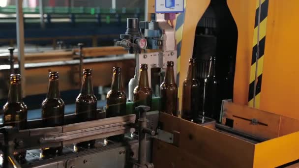 Quality control of glass bottles. — Stock Video