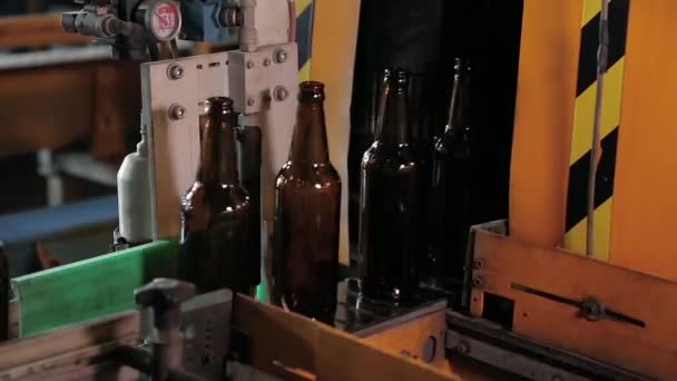 Clasificación de botellas de cerveza . — Vídeo de stock