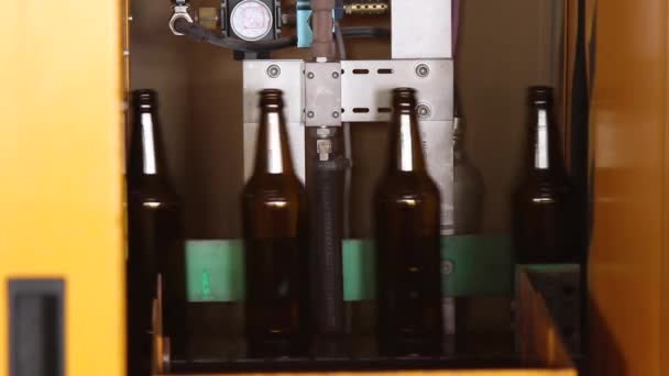 Las botellas marrones de cerveza se mueven a lo largo de la cinta transportadora — Vídeos de Stock