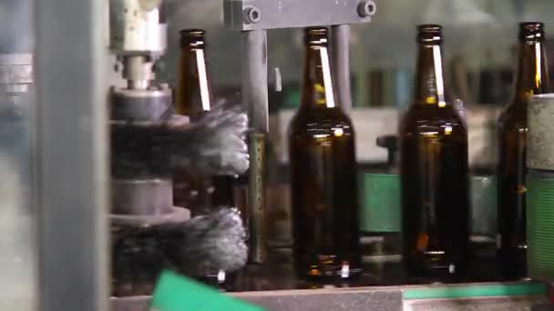 Kwaliteitscontrole van glazen flessen. — Stockvideo