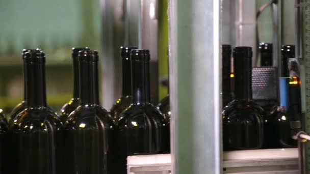 Clean bottles are moving along the conveyor. — Stock Video