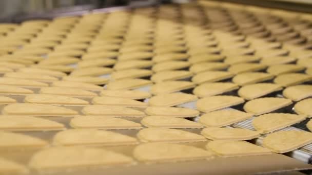 Vorming van deeg voor koekjes in de fabriek — Stockvideo