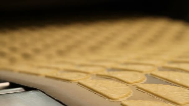 Tvarování těsta na sušenky v továrně — Stock video