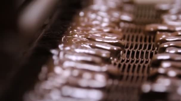 Nougat aux noix et chocolat dans l'usine 