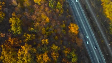 Sonbahar günündeki sonbahar arabasının tepeden aşağı görüntüsü