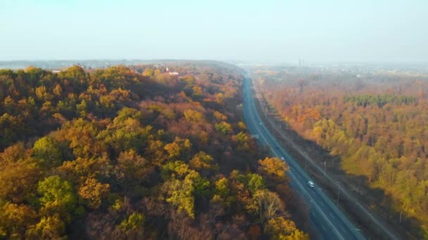 Aerial view of road in beautiful autumn forest — ストック動画