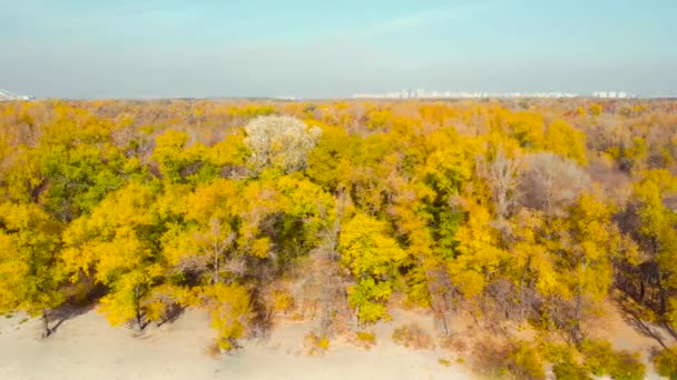 Outono Paisagem colorida de cima — Vídeo de Stock