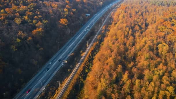 Strada nella foresta autunnale al tramonto, vista aerea drone — Video Stock