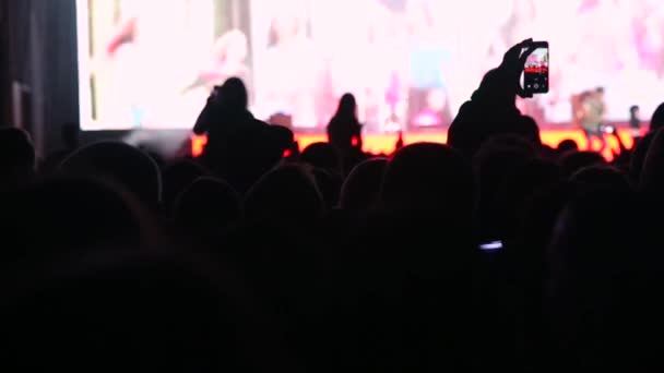 Fan macht Foto und Video vom Konzert auf dem Festival. — Stockvideo