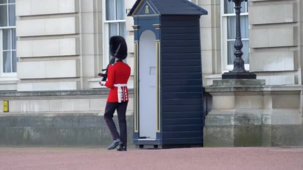 Guardia Británica de guardia en el Palacio de Buckingham de Londres — Vídeo de stock