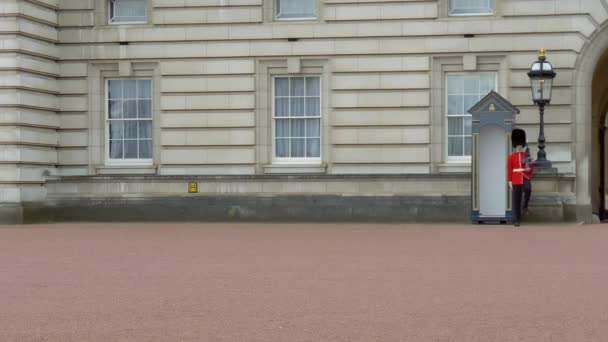 Guardia Británica de guardia en el Palacio de Buckingham de Londres — Vídeo de stock