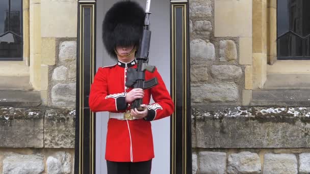 Guardia británica en uniforme rojo-negro tradicional — Vídeo de stock