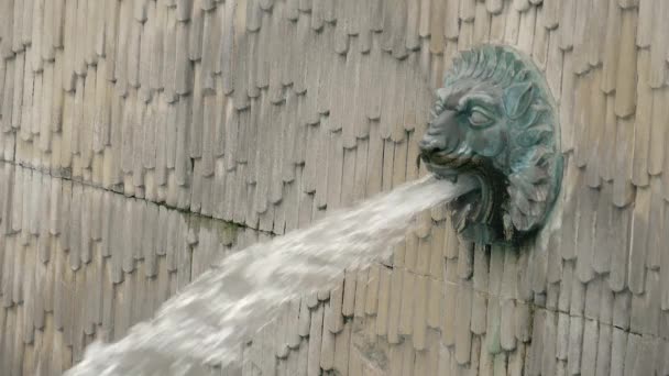 Fontana a forma di testa di leone, rallentatore — Video Stock