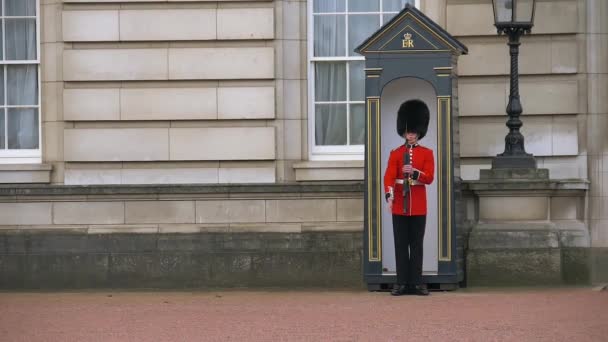 Guardia británica en uniforme rojo-negro tradicional — Vídeo de stock