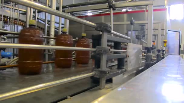 Winkel voor het bottelen van bier in een brouwerij. — Stockvideo