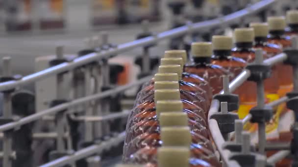 Bira fabrikasında bira şişeleme alışverişi.. — Stok video