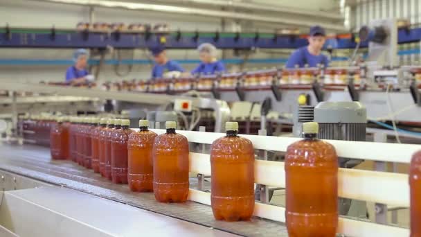 Geschäft zum Abfüllen von Bier in einer Brauerei. — Stockvideo