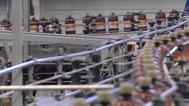 Bière en bouteilles en plastique marron sur le convoyeur . — Video