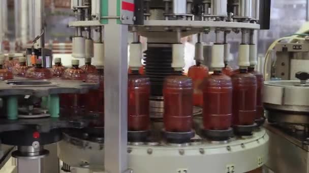 Sör barna műanyag palackban a szállítószalagon. — Stock videók