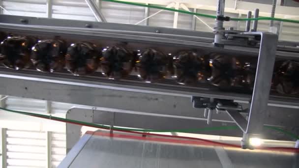 Bottiglie di plastica in linea di produzione . — Video Stock