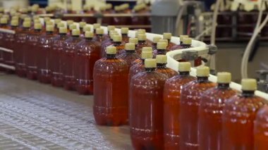 Bira fabrikasında bira şişeleme alışverişi..