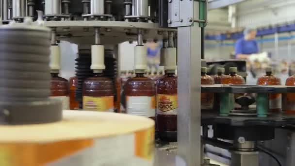 Winkel voor het bottelen van bier in een brouwerij met arbeiders — Stockvideo