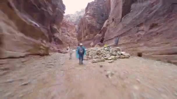 Passeggiata all'interno del Canyon nell'antica città di Petra — Video Stock