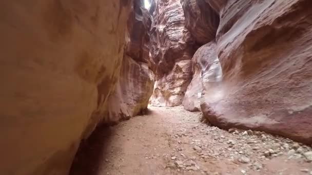 Caminando dentro del cañón en la antigua ciudad de Petra — Vídeos de Stock