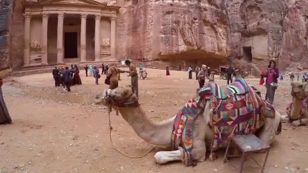 Beduínský velbloudí spočívá v blízkosti pokladny Al Khazneh — Stock video