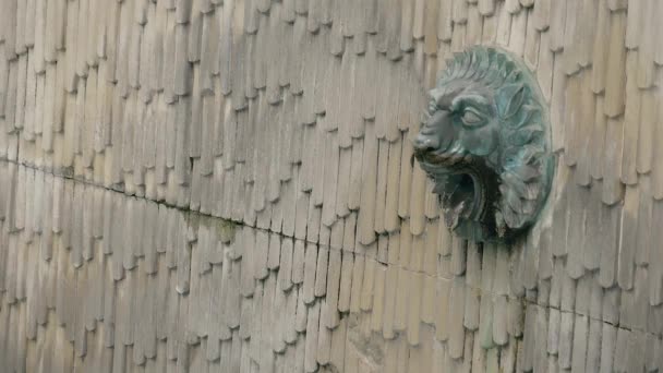 Fuente con cabezas de leones. Cámara lenta, imágenes . — Vídeos de Stock